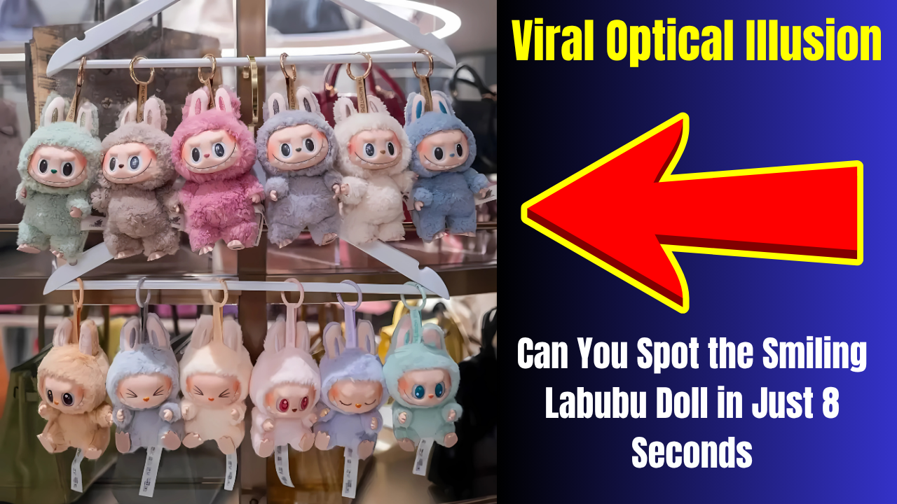 Viral Optical Illusion