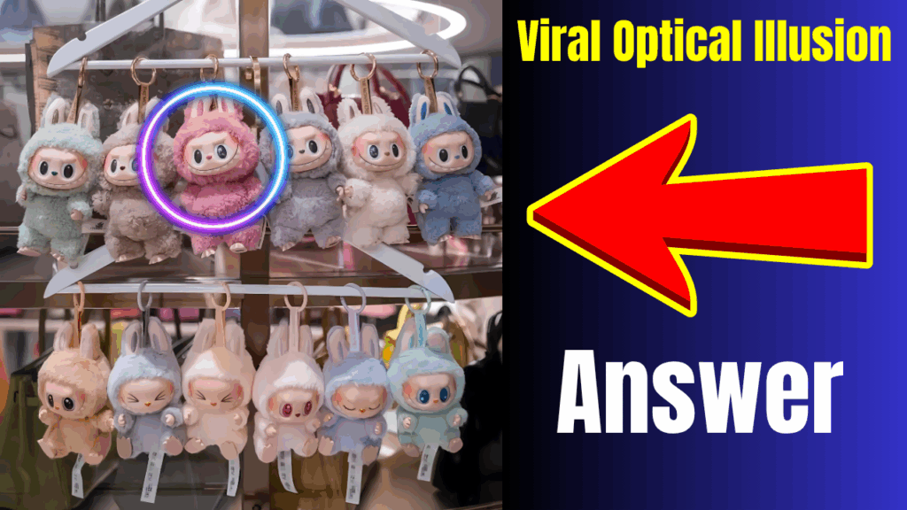 Viral Optical Illusio